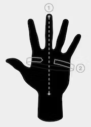 Arcteryx Måttguide Handskar